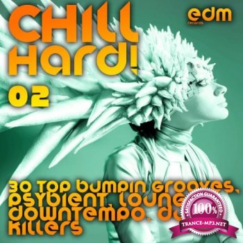 VA - Chill Hard! Vol. 2 (2014)