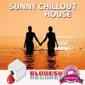 VA - Sunny Chillout House (2014)