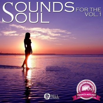 VA - Sounds For The Soul Vol.1 (2014)