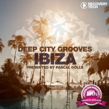 VA - Deep City Grooves Ibiza (2014)