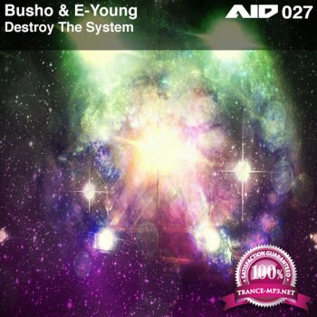 Busho & E Young - Destroy the System
