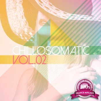 VA - Chillosomatic Vol.02 (2014)