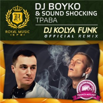 DJ Boyko & Sound Shocking -  (DJ Kolya Funk Official Remix) (2014)