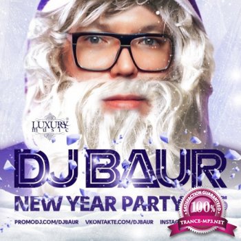 Dj Baur - New Year Party 2015