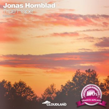 Jonas Hornblad - True Hope
