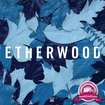 Etherwood - Blue Leaves (2015)