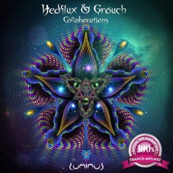 Hedflux, Grouch - Collaborations