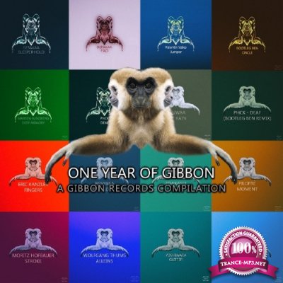 VA - One Year Of Gibbon Records (2015)