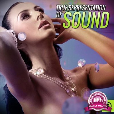 True Representation of Sound (2015)
