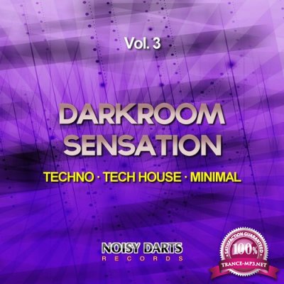 Darkroom Sensation, Vol. 3 (Techno - Tech House - Minimal) (2015)