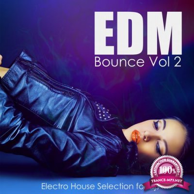 EDM Bounce Vol. 2: Electro House Selection for Djs (2015)