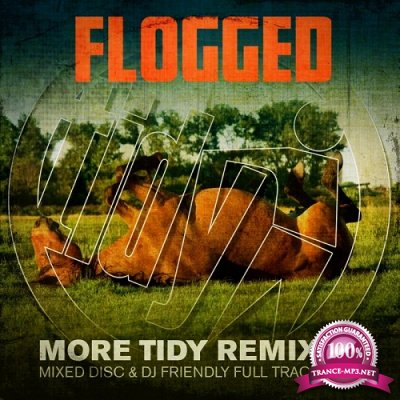 Tidy Flogged (Unmixed Tracks) (2015)