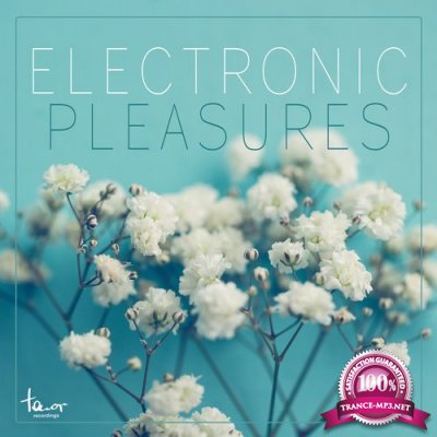 Electronic Pleasures, Vol. 1 (2015)
