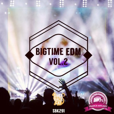 Bigtime EDM, Vol. 2 (2015)