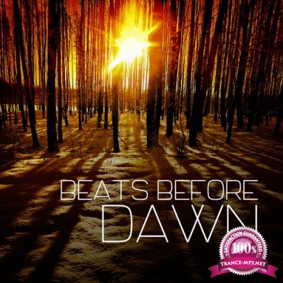 Beats Before Dawn, Vol. 1 (2015)