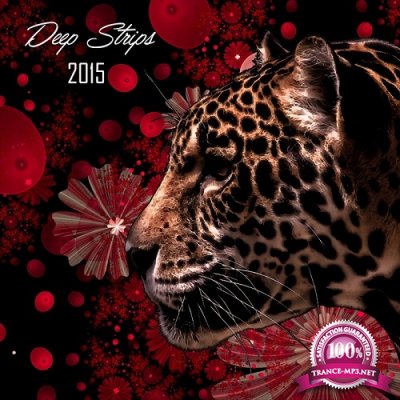 Deep Strips Year End (2015)