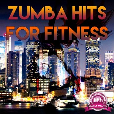 Zumba Hits For Fitness (2016)