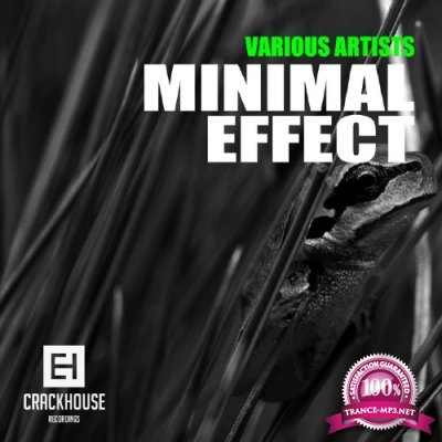  Various Artists - Minimal Effect (2016)