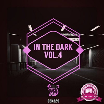 In the Dark, Vol. 4 (2016)