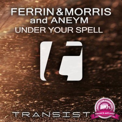 Ferrin & Morris & Aneym - Under Your Spell (2016)