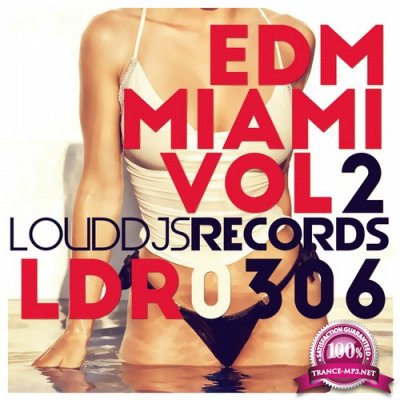 EDM Miami, Vol. 2 (2016)