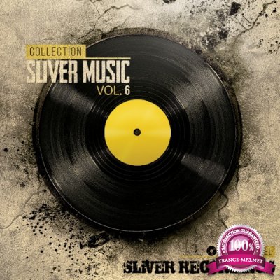 Sliver Music Collection, Vol. 6 (2016)