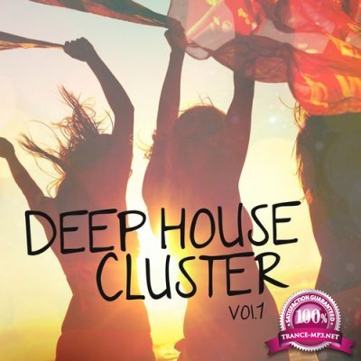 Deep House Cluster, Vol. 1 (2016)
