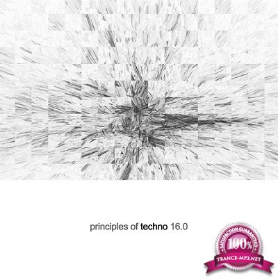 Principles Of Techno Vol.16 (2016)