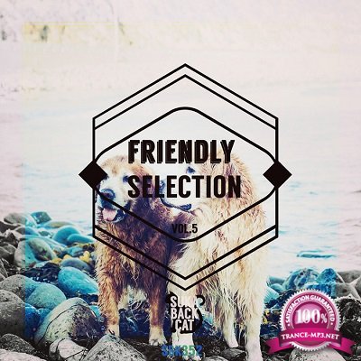Friendly Selection Vol.5 (2016)