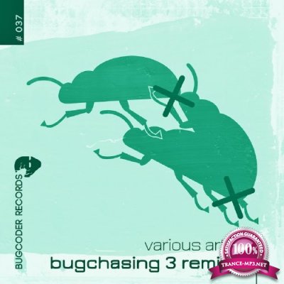 Bugchasing 3 (2016)