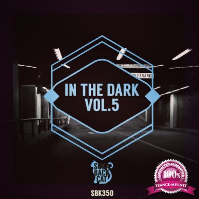 In the Dark, Vol. 5 (2016)