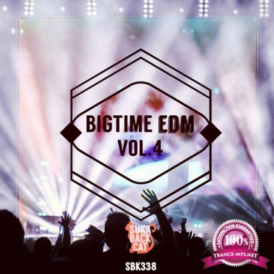 Bigtime EDM, Vol. 4 (2016)