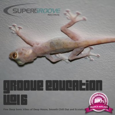 Groove Education, Vol. 6 - Fine Deep Sonic Vibes of Deep House, Smooth Chill Out and Ecstatic Deep Techno (2016)