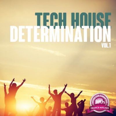 Tech Determination, Vol. 1 (2016)