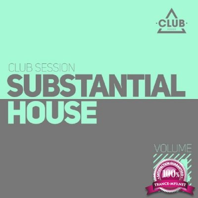 Substantial House, Vol. 14 (2016)