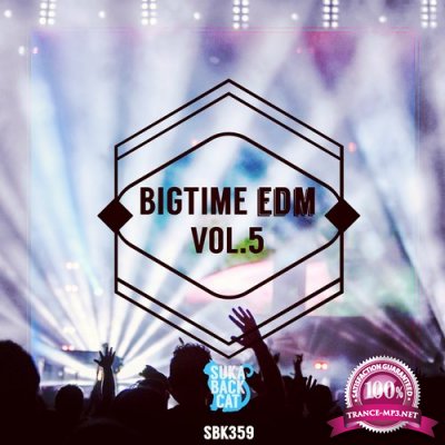 Bigtime EDM, Vol. 5 (2016)