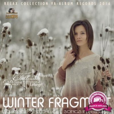 Winter Fragment: Relax Party (2016)