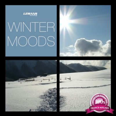 VA - Winter Moods (2016)