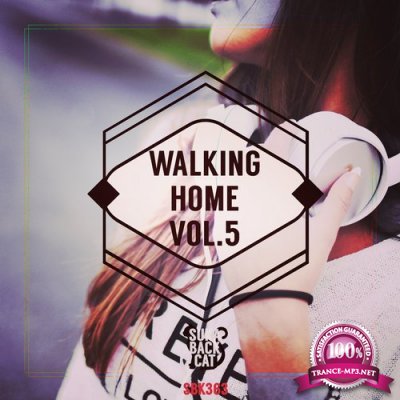 VA - Walking Home, Vol. 5 (2016)