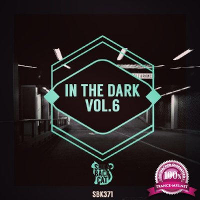 In the Dark, Vol. 6 (2016)