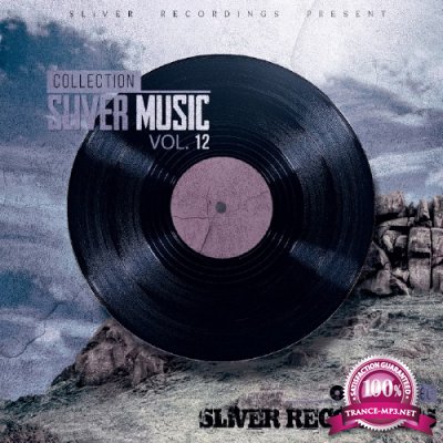 SLiVER Music Collection, Vol.12 (2016)