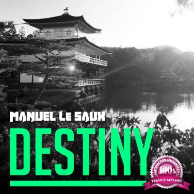 Manuel Le Saux - Destiny (2016)