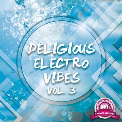 Deligious Electro Vibes, Vol. 3 (2016)