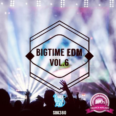 Bigtime EDM, Vol. 6 (2016)
