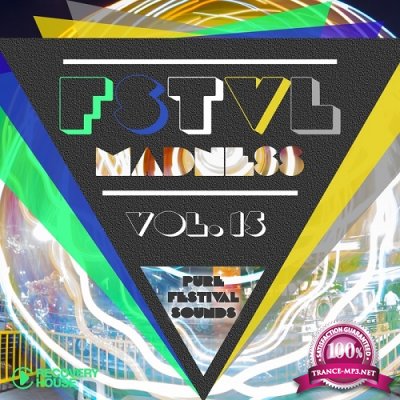 FSTVL Madness Vol 15 (Pure Festival Sounds) (2016)