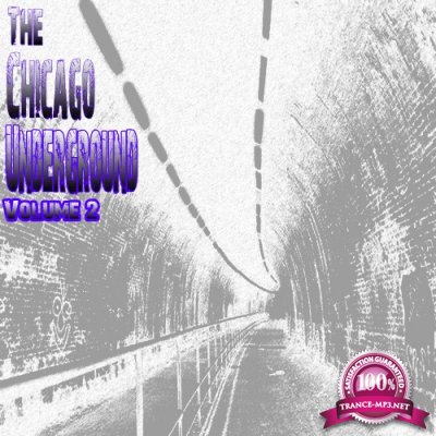 The Chicago Underground, Vol. 2 (2016)