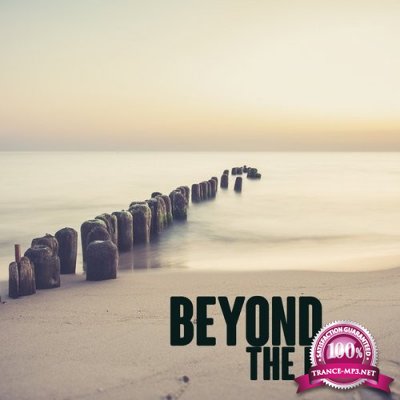 Beyond the Beat, Vol. 1 (2016)