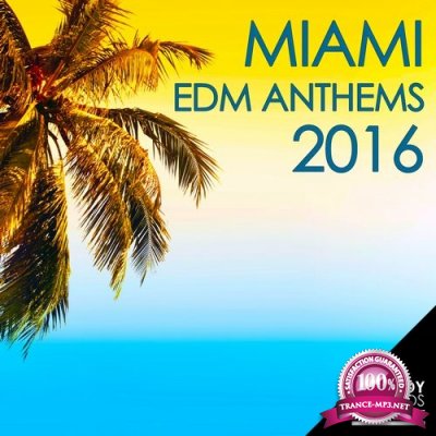 Miami EDM Anthems 2016 (2016)