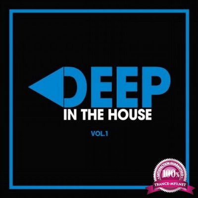 Deep in the House, Vol. 2 (2016) 