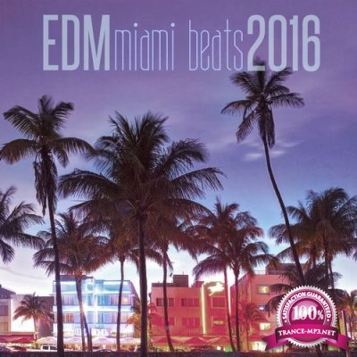 EDM Miami Beats 2016 (2016)